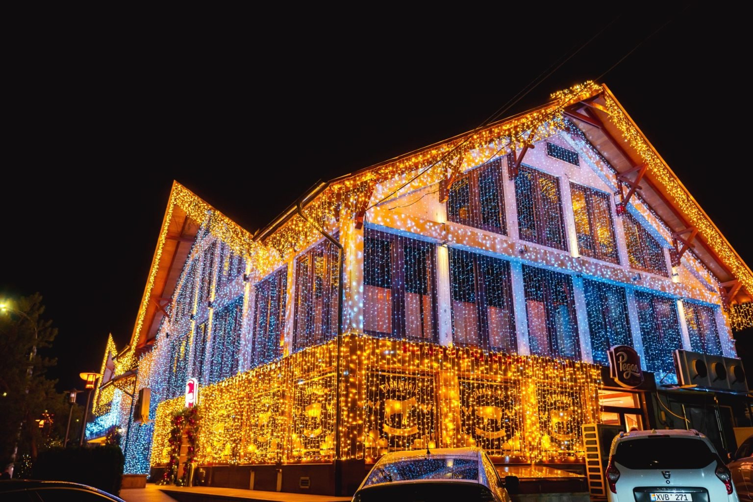 Restaurant Pegas - Decorațiuni Premium